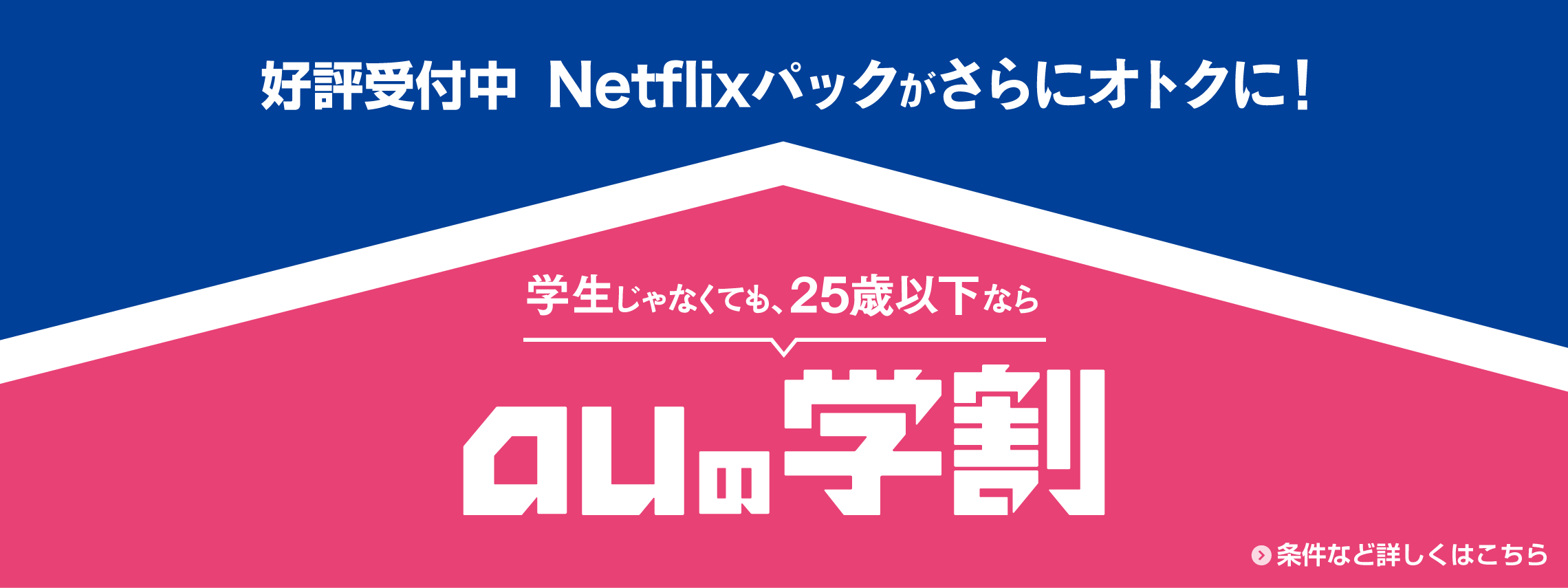 auデータMAXプラン　Netflixパックがさらにオトクに！