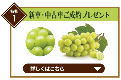 ボタン_01_pc