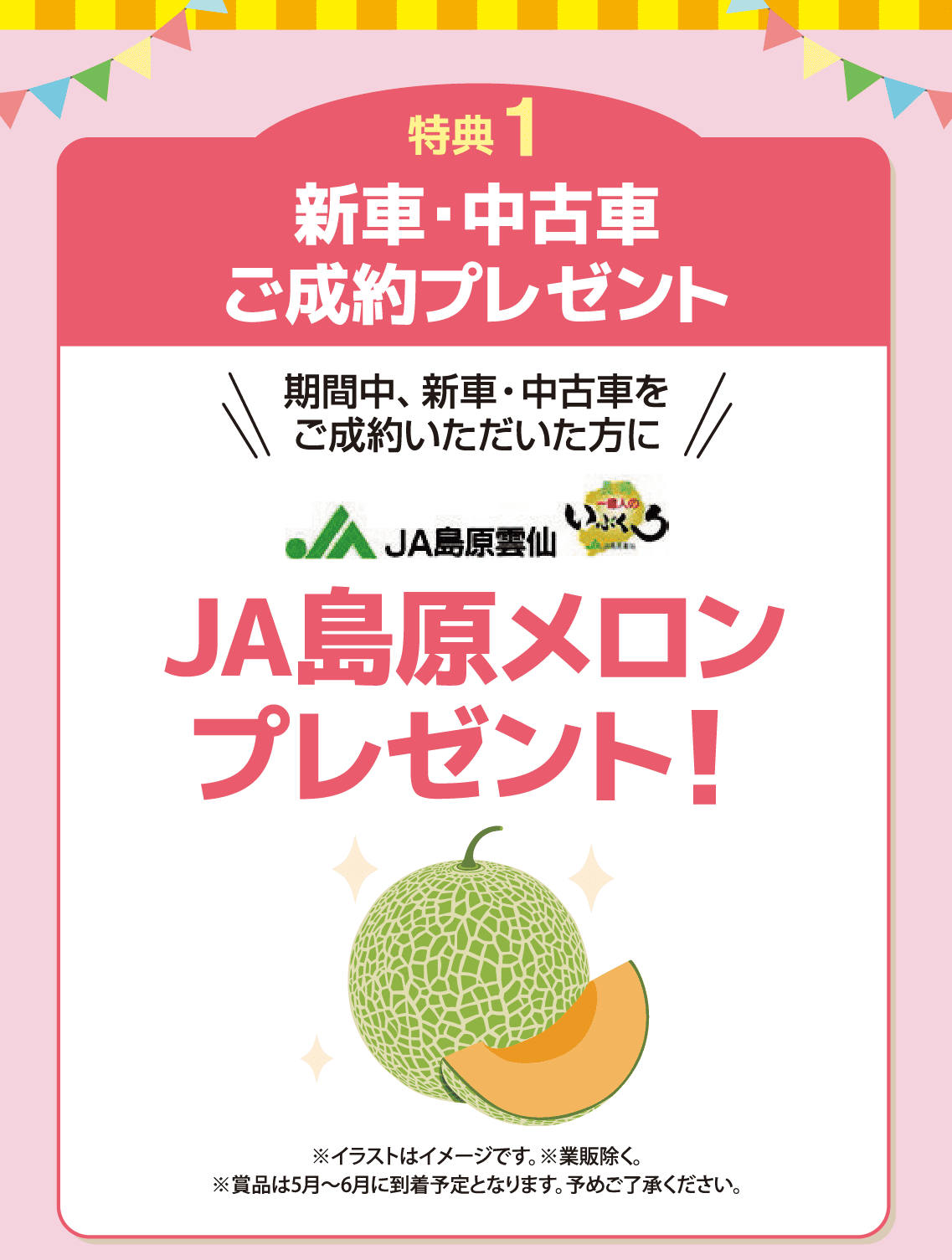 スプリングフェア | トヨタカローラ長崎