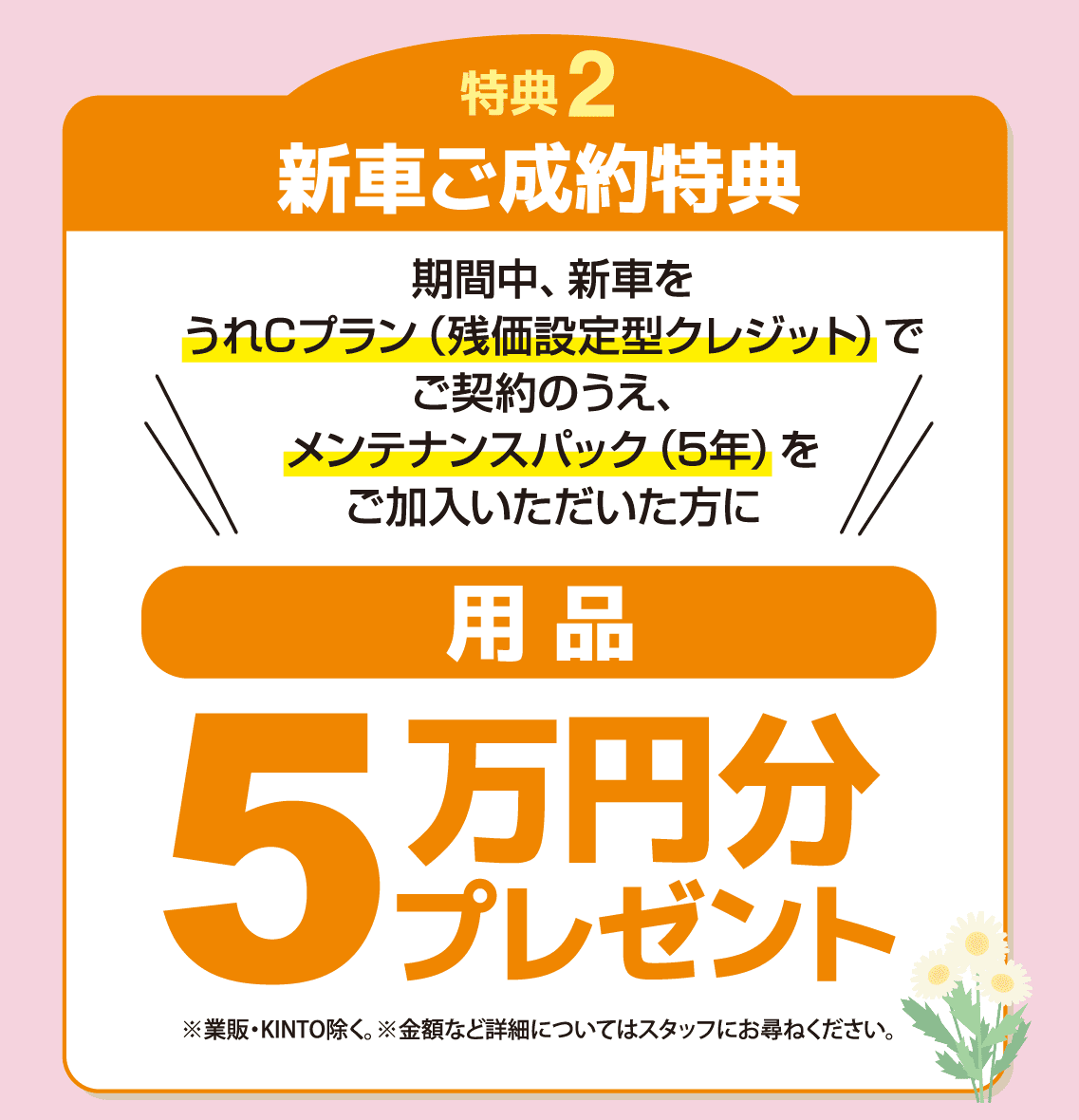 スプリングフェア | トヨタカローラ長崎