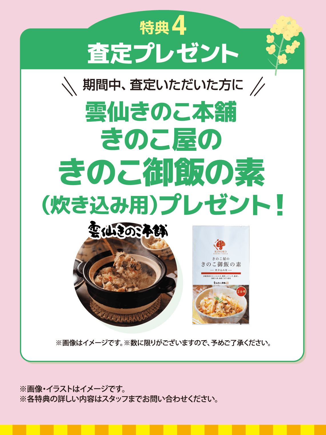 スプリングフェア | トヨタカローラ長崎